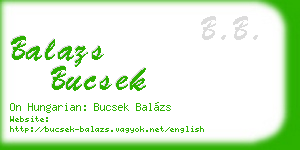 balazs bucsek business card